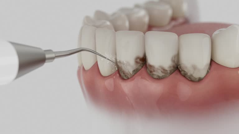 Reliable Dental contractor in Walbridge, OH by Dentist Open Now